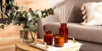 عادت های زشتی که خانه‌ی شما را بدبو می‌ کند

