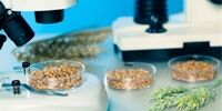  دسترسی تولیدکنندگان غذا و دارو به نتایج آنالیز الکترونیکی