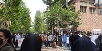 آخرین وضعیت دانشجویان بازداشتی از زبان وزیر علوم 