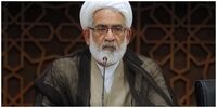 نامه دادستان کل کشور درباره برخورد با بی حجابی در هواپیما