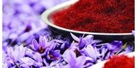 افزایش ۲ تا ۳ برابری صادرات این محصول در آبان‌ماه