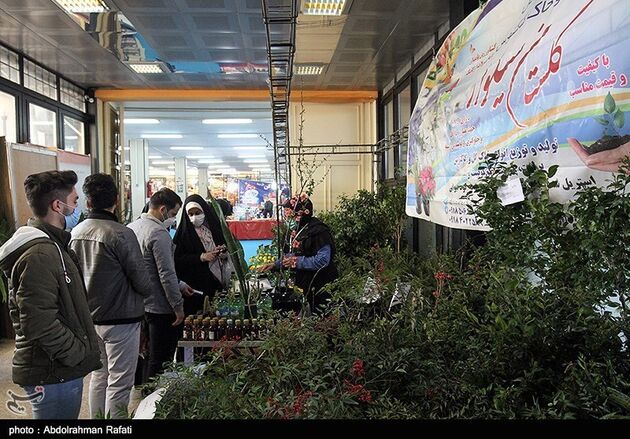 نمایشگاه گل همدان