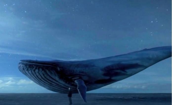 «نهنگ آبی» غرق شد!