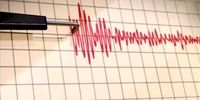 وقوع زلزله 6.1 ریشتری در ژاپن