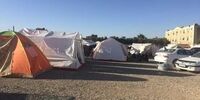 واکنش هلال احمر به انتقاد علی ضیا از نحوه امدادرسانی در زلزله کرمانشاه + عکس