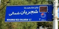 واکنش فرماندار تهران به تغییر تابلوی خیابان شجریان توسط تعدادی از معترضان