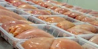 صادرات مرغ کاهش یافت