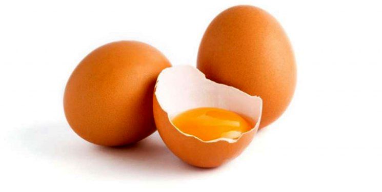 روش هایی برای تشخیص تخم مرغ سالم