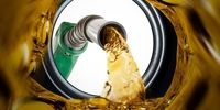 خبر مهم وزیر نفت درباره سهمیه و قیمت بنزین + فیلم