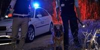 این مرد مَست، همراه با پلیس به دنبال خودش می گشت
