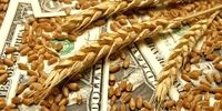 افزایش قیمت جهانی گندم