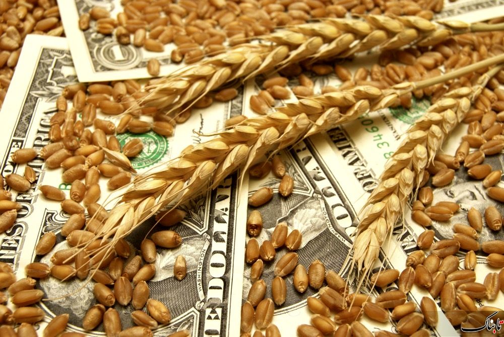 قیمت انواع بذر اعلام شد