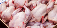 کاهش قیمت مرغ در بازار
