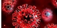 نوع جدید ضد ویروس در راه است؟/تلاش برای درمان کووید خفیف
