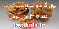 نهال گردو اصلاح شده ضمانتی فقط 40 هزار تومان