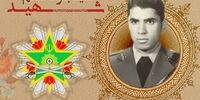 نشان فداکاری به کدام شهید ارتش رسید؟ 
