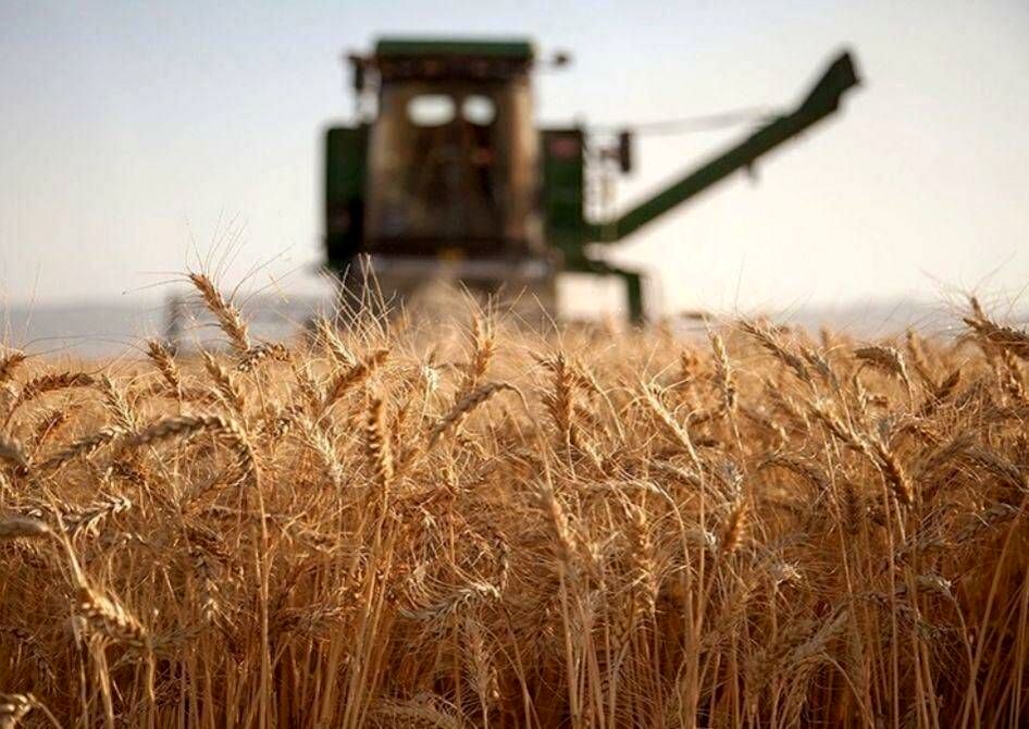 پرداخت 20 هزار میلیاردی مطالبات گندمکاران
