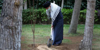 تصویری از کاشت نهال توسط مقام معظم رهبری به مناسبت روز درختکاری