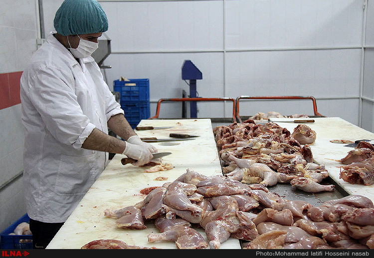 نرخ هر کیلو مرغ در بازار ۳۰ هزار تومان
