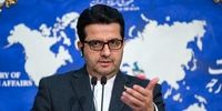 کارشکنی برایان هوک در تبادل زندانی ایران و آمریکا