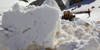 تصاویر| رهایی «عسل کشان» از برف
