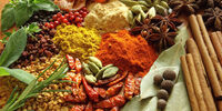 هشدار مهم درباره عوارض مصرف گیاهان دارویی