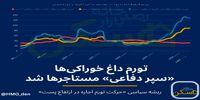 چرا اجاره مسکن به اندازه «خورد و خوراک» رشد نکرد؟/ موجرها هم دست به «رفتار احتیاطی» زده‌اند، چون...
