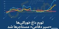 چرا اجاره مسکن به اندازه «خورد و خوراک» رشد نکرد؟/ موجرها هم دست به «رفتار احتیاطی» زده‌اند، چون...