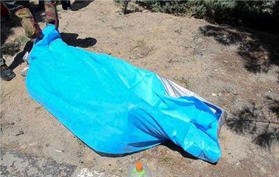 کشف جسد دانشجوی دندانپزشکی رفسنجان در ارتفاعات سرچشمه 