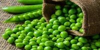 با معجزات نخود فرنگی آشنا شوید 