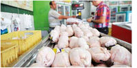 این بار چه بهانه ای برای افزایش قیمت مرغ هست؟