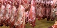 توزیع گوشت گوساله گرم و منجمد با نرخ‌های مصوب از امروز

