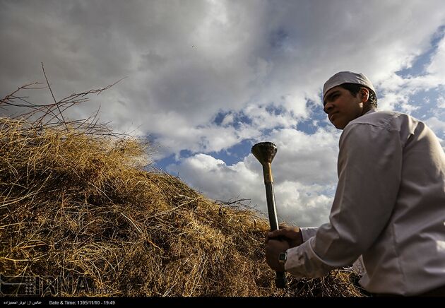 جشن سده زرتشتیان در کرمان