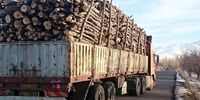جاسازی عجیب چوب های قاچاق در اتوبوس +ببینید