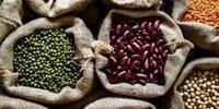 کاهش ۱۰ تا ۱۵ درصدی قیمت حبوبات 

