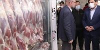 بازدید محمد مخبر از میدان عرضه گوشت و مرغ بهمن