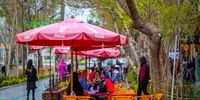 علت تعطیلی 70 کافه و بستنی فروشی در اصفهان