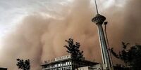 سازمان آتش‌نشانی هشدار داد/ هنگام توفان این نکات را رعایت کنید