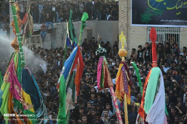 تصاویر برگزاری آیین « علم پیغمبر» در میناب