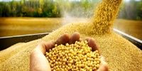 نبود زیرساخت ‌انتقال تنظیم بازار نهاده‌ها به وزارت جهاد کشاورزی