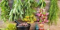 هشدار درباره مصرف خودسرانه گیاهان دارویی