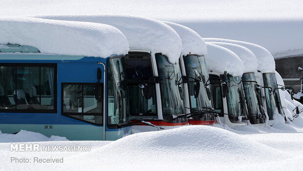 بارش سنگین برف در ژاپن با ۱۰ کشته و ۳۰۰ مصدوم/ گزارش تصویری