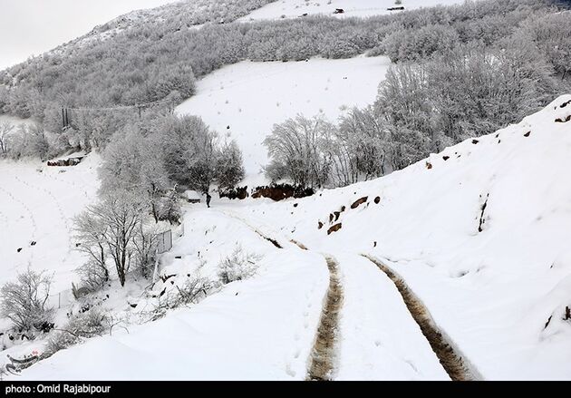 image22