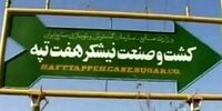 حل مشکل بیمه کارگران هفت تپه تا پایان مرداد