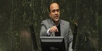 ادعای نماینده مجلس: جاسوسان فراری به سازمان حفاظت محیط زیست خط می‌دهند
