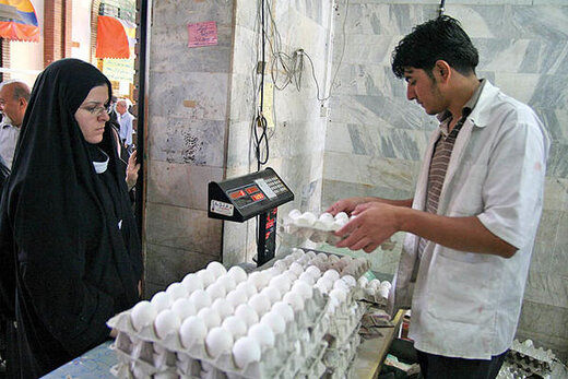 قیمت جدید تخم مرغ اعلام شد/هر شانه چند؟