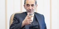  ولایتی: رهبر انقلاب موافق بند مکانیسم ماشه نبودند

