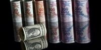 ریزش قیمت لیر ترکیه در بازار تهران