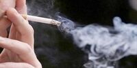 تعداد معتادان ایرانی گل در 10 سال گذشته چه تغییری کرده است؟