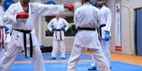  بابک گودرزی مربی تیم ملی کاراته هلند شد
